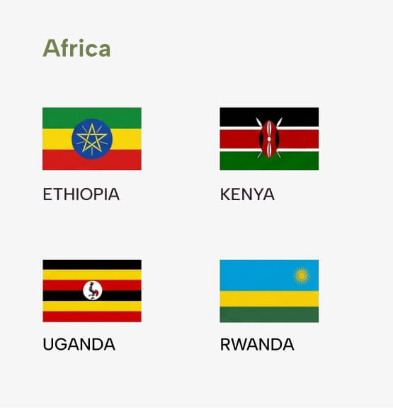 Global Network Africa