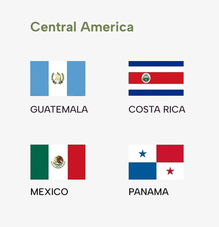 Global Network Central America