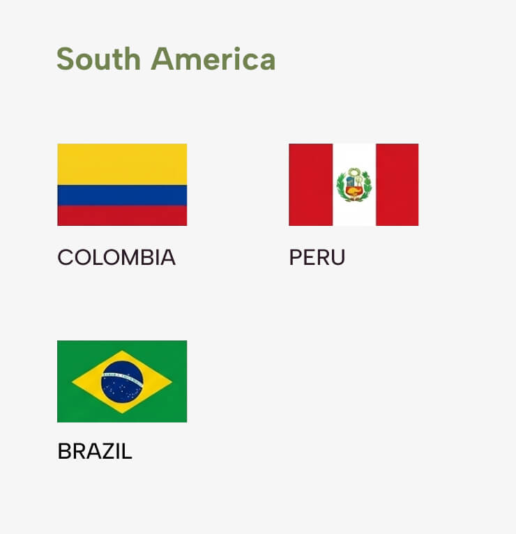 Global Network South America